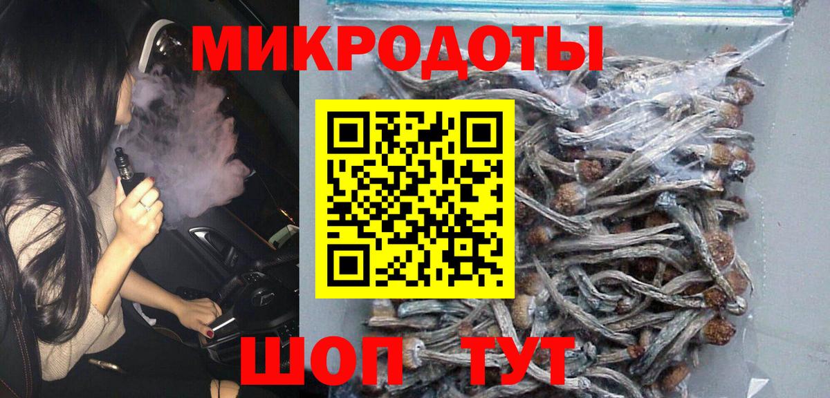Галлюциногенные грибы Psilocybe Дубна