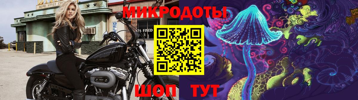 Псилоцибиновые грибы ЛСД  Псилоцибиновые грибы GOLDEN TEACHER  цена наркотик  Вход с VPN  Дубна 